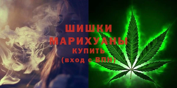 прущие крисы Корсаков
