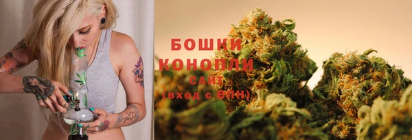 прущие крисы Корсаков