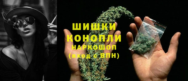 прущие крисы Корсаков