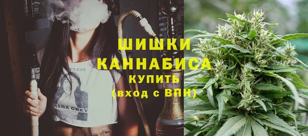 шишки Костерёво