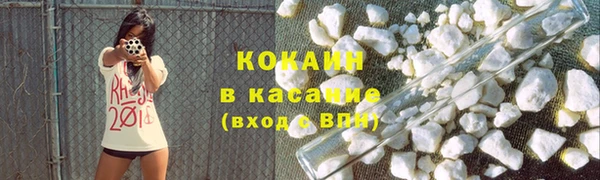 шишки Костерёво