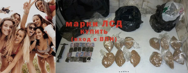 прущие крисы Корсаков