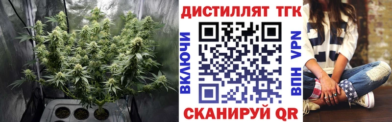blacksprut рабочий сайт  Игра  ТГК концентрат 